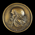 Medaile komenského